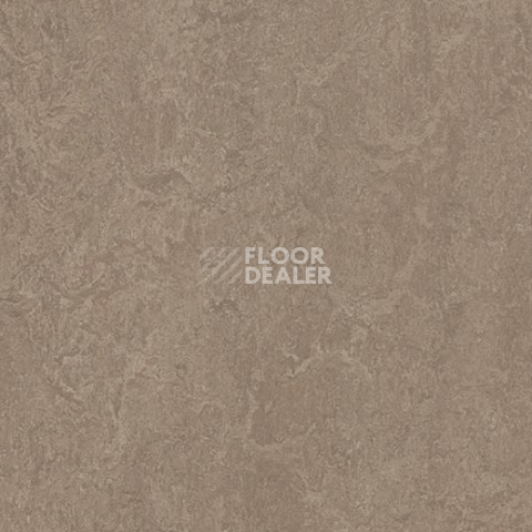 Линолеум Forbo Marmoleum Decibel on Order 324635 shrike фото 1 | FLOORDEALER